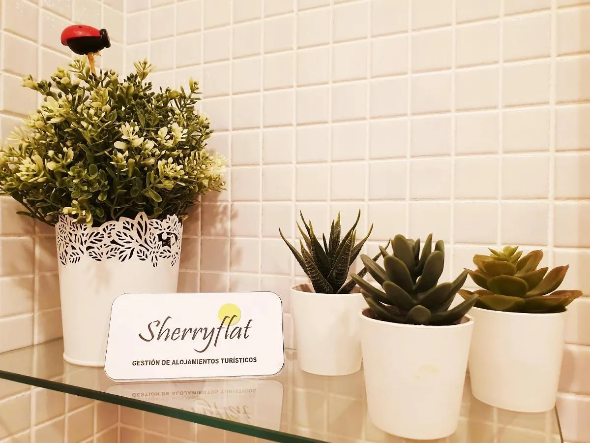 Apartment Sherryflat La Estacion - Parking Jerez de la Frontera